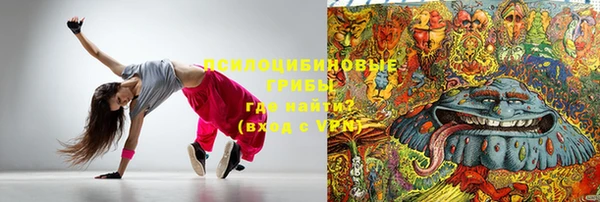 сатива Новозыбков