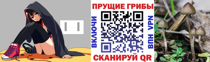 Галлюциногенные грибы мухоморы Уржум